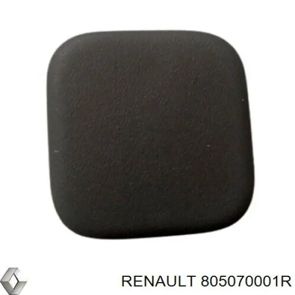  Renault (RVI) 805070001R