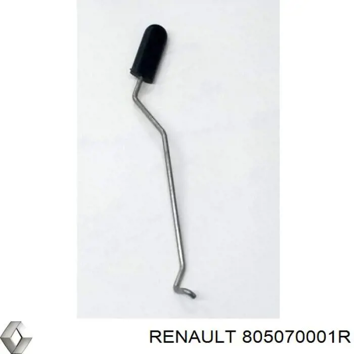 805070001R Renault (RVI) 