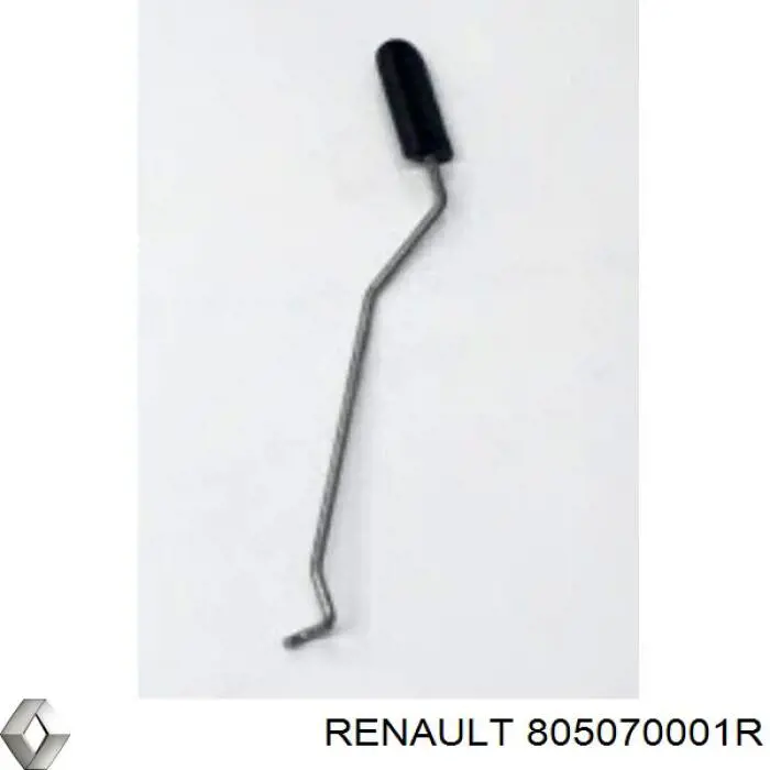  Renault (RVI) 805070001R цена, от 2.95 USD