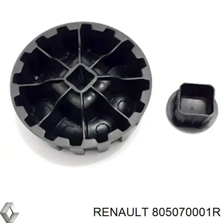  805070001R Renault (RVI)