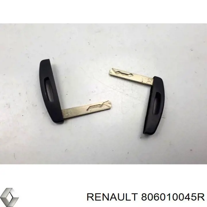  806010045R Renault (RVI)