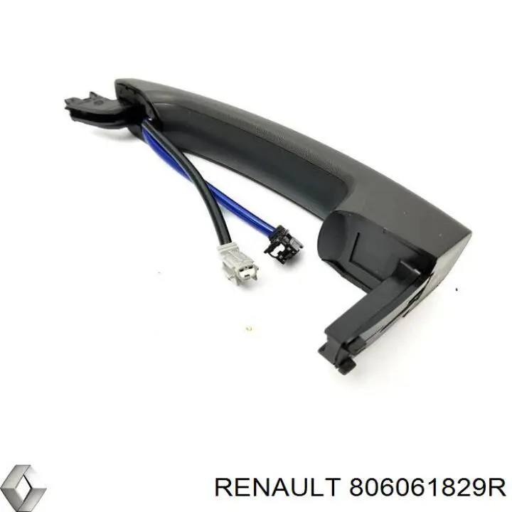 806061829R Renault (RVI) 