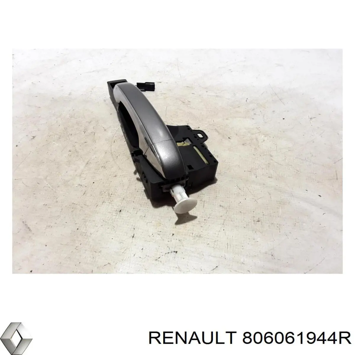  806061944R Renault (RVI)