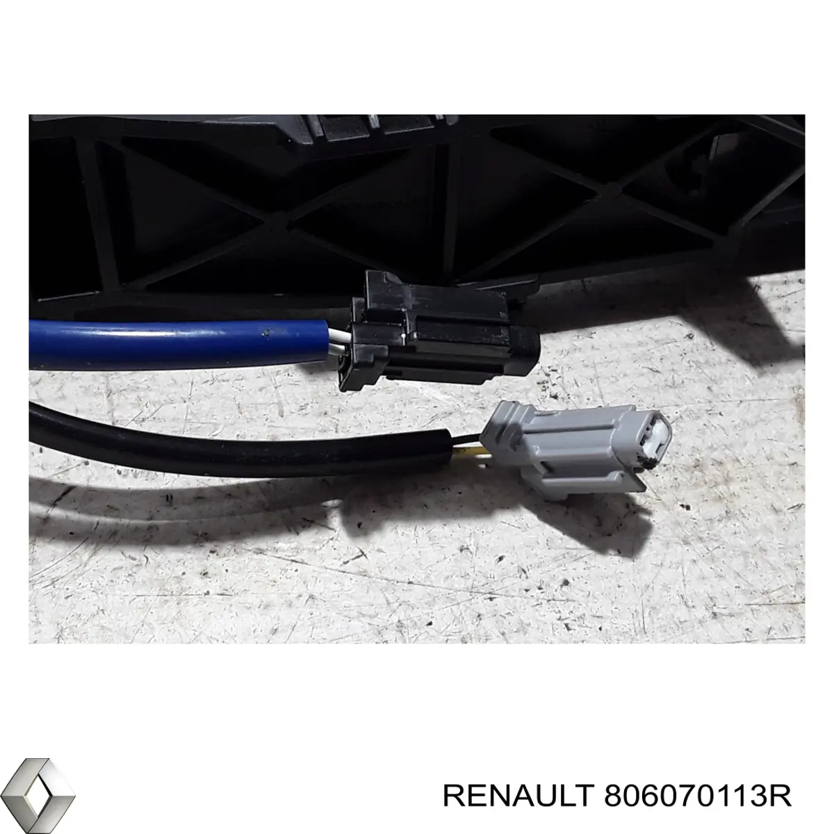 806070113R Renault (RVI) 