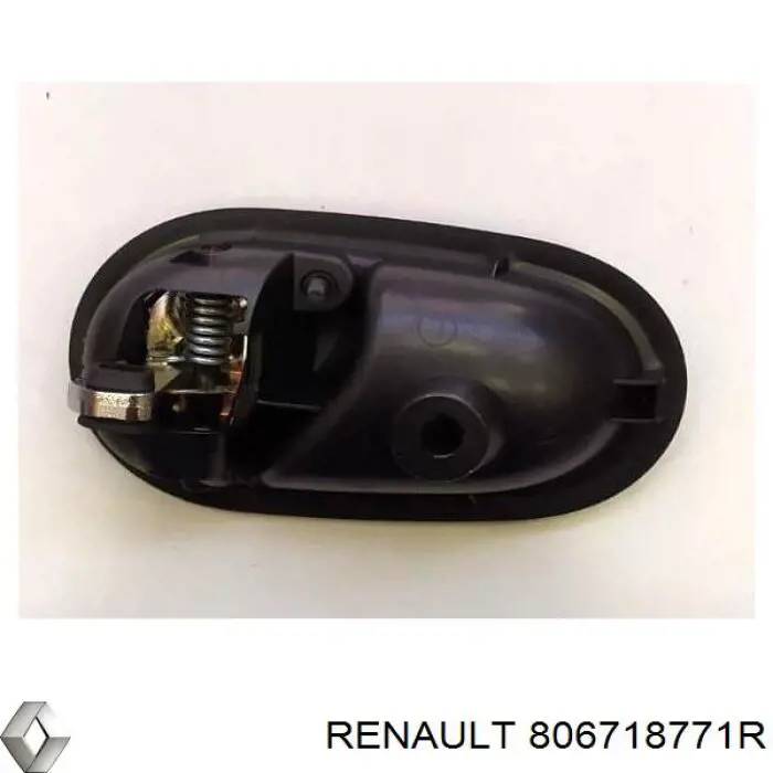  806718771R Renault (RVI)