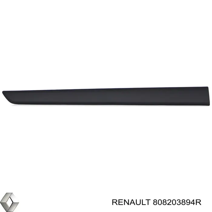 Молдинг крыла заднего правого 808203894R Renault (RVI)