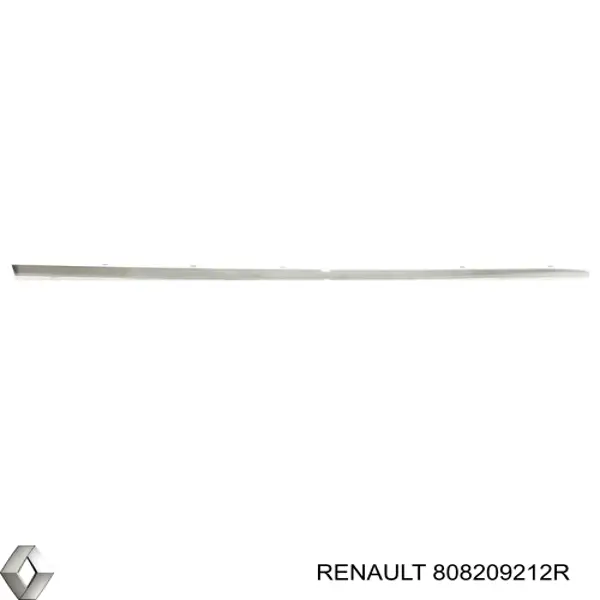 808209212R Renault (RVI) Молдинг передней правой двери