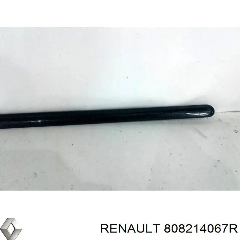 Молдинг двери передней левой 8200748296 Renault (RVI)
