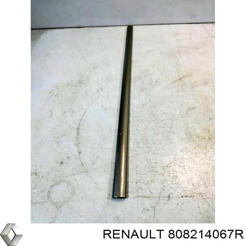Молдинг двери передней левой Renault (RVI) 8200748296 цена, от 47.30 USD