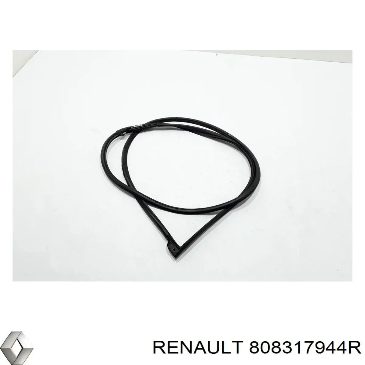 Уплотнитель двери передней левой (на двери) 808317944R Renault (RVI)