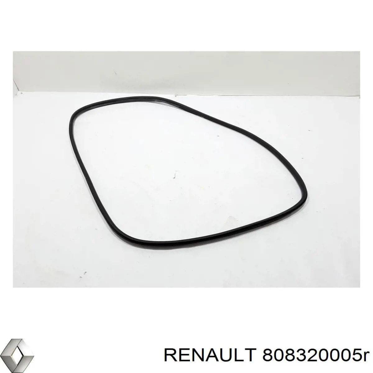  808320005R Renault (RVI)