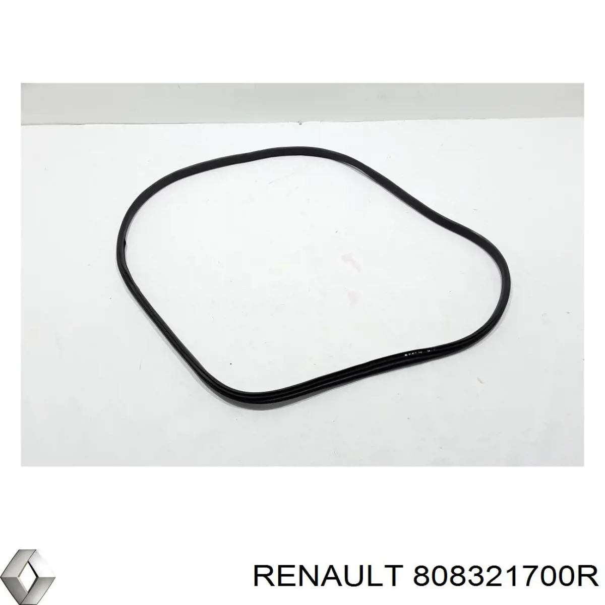 808321700R Renault (RVI) 