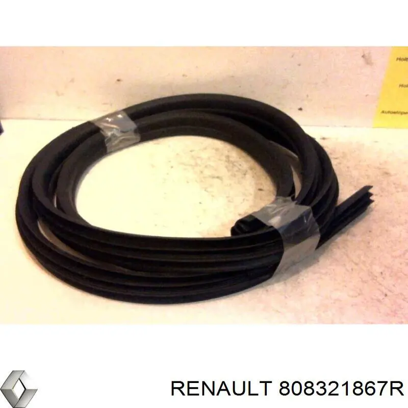 Уплотнитель двери передней правой (на кузове) 808321867R Renault (RVI)