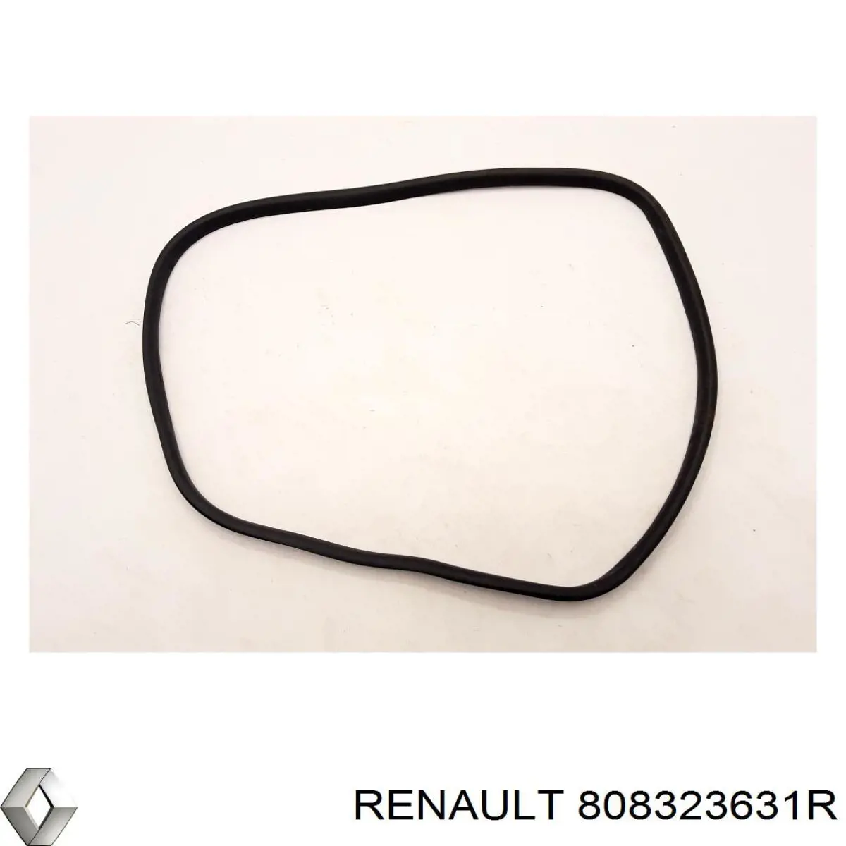 808323631R Renault (RVI)
