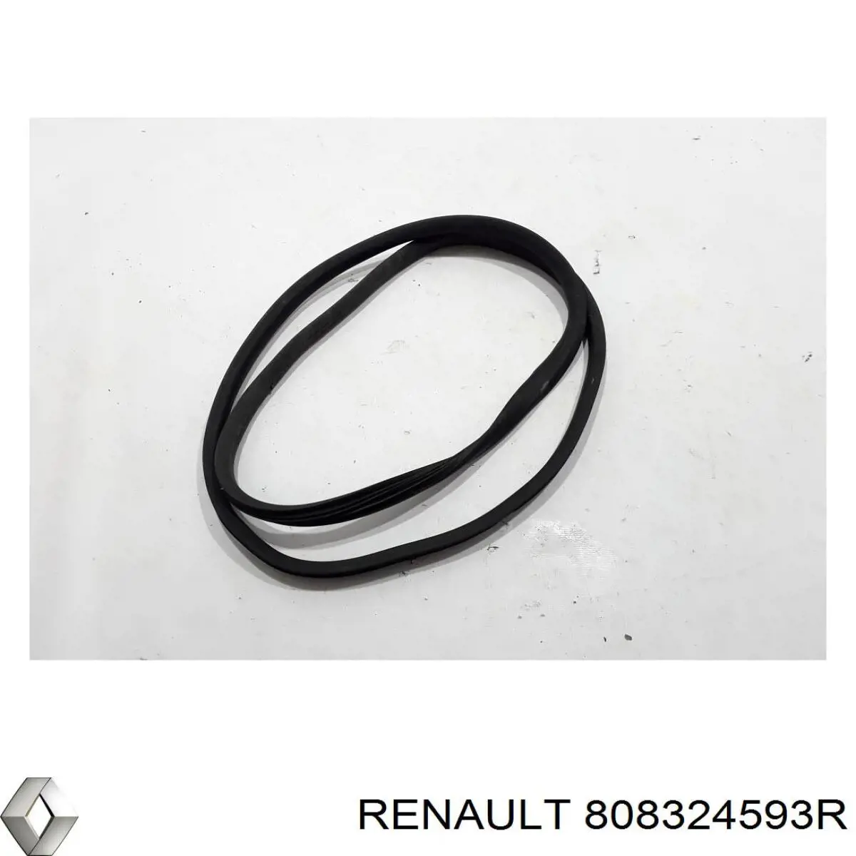 808324593R Renault (RVI) 