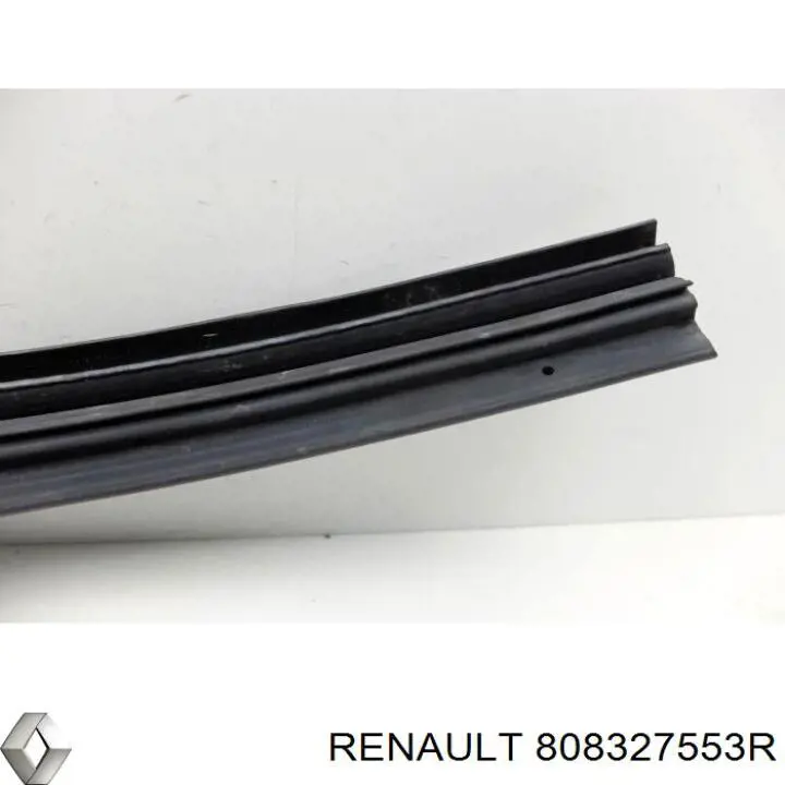 808327881R Renault (RVI) 