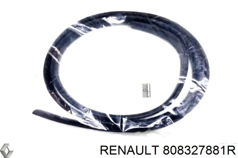 Уплотнитель двери передней левой (на двери) Renault (RVI) 808327881R цена, от 10.74 USD