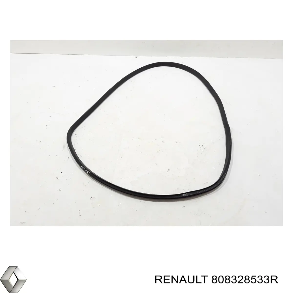808328533R Renault (RVI) 