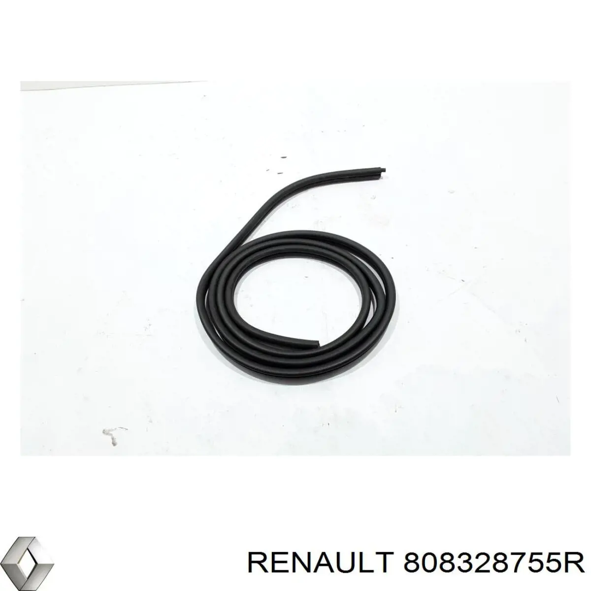  808328755R Renault (RVI)