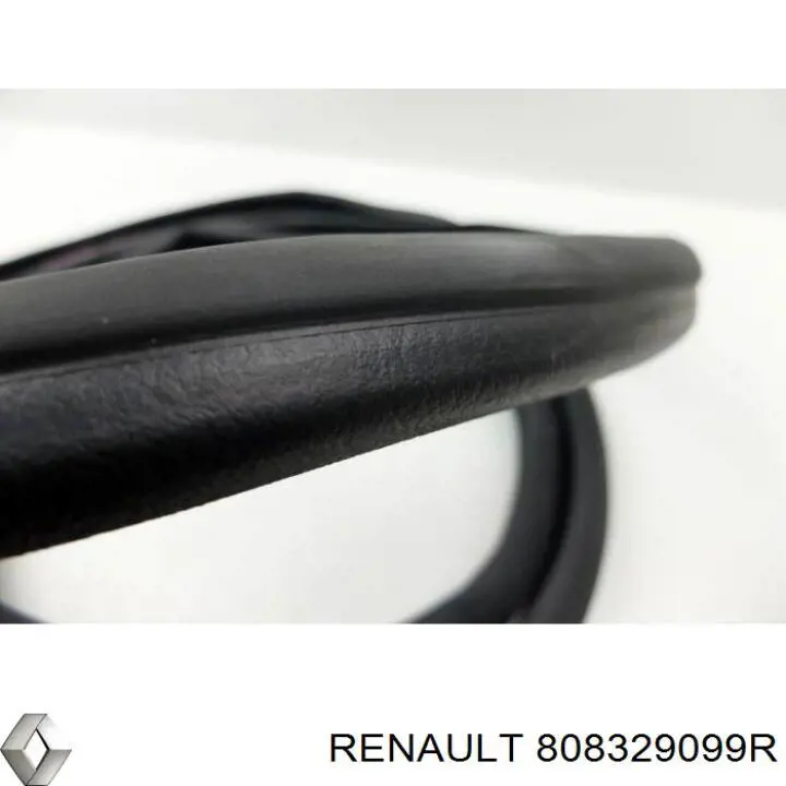  808329099R Renault (RVI)