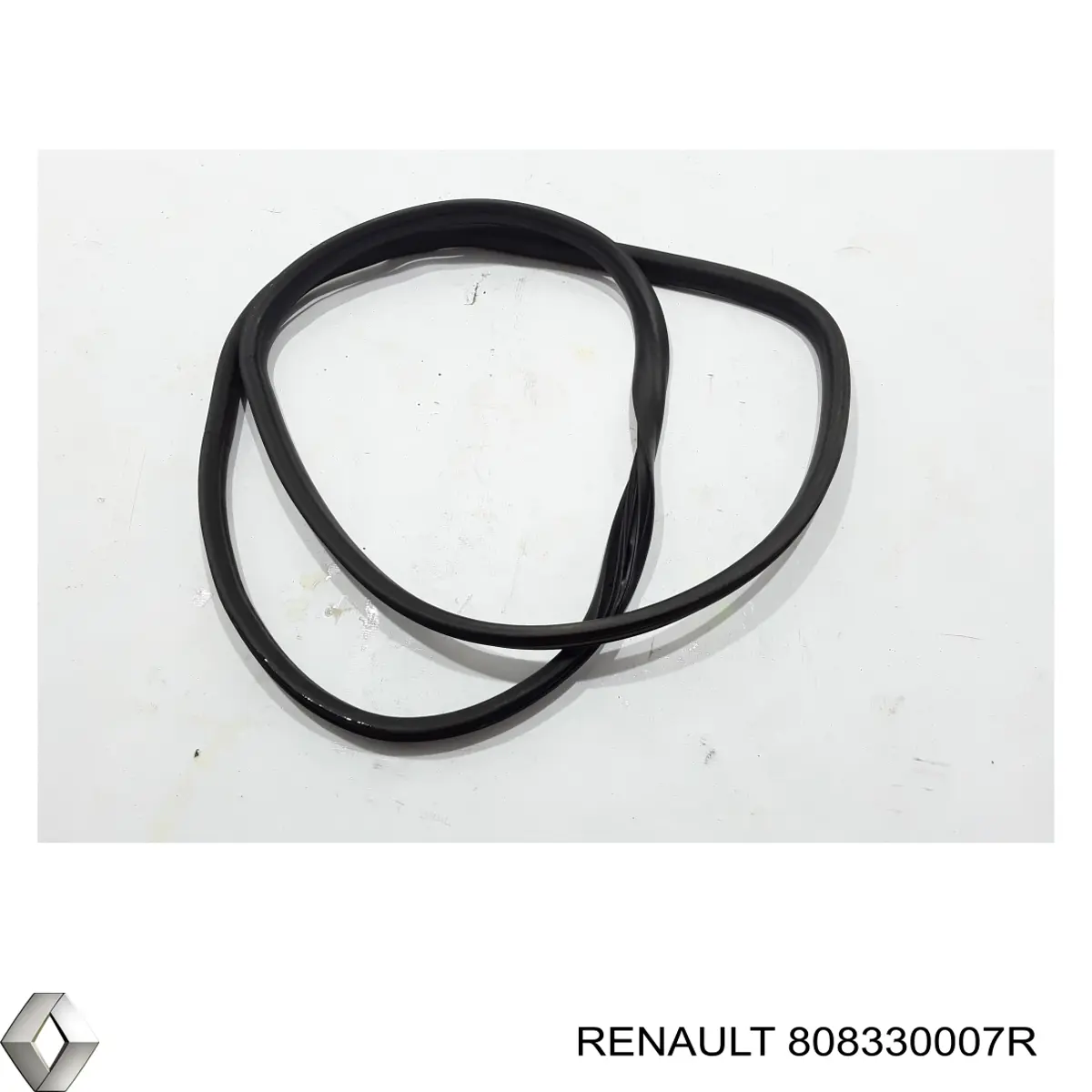  808330007R Renault (RVI)