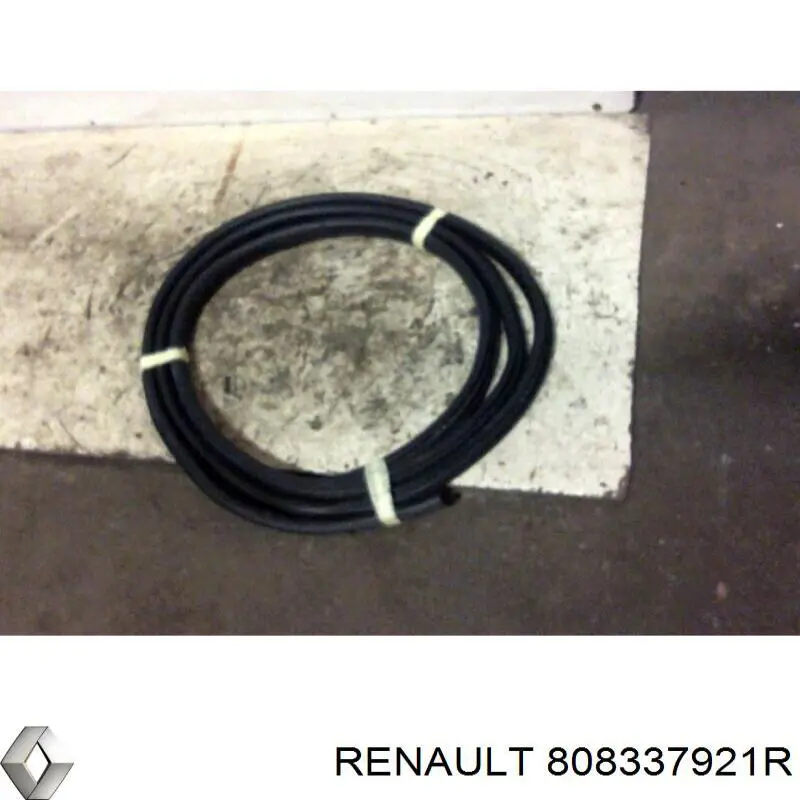 Compactador da porta dianteira esquerda (na carroçaria) para Renault Trafic (EG)