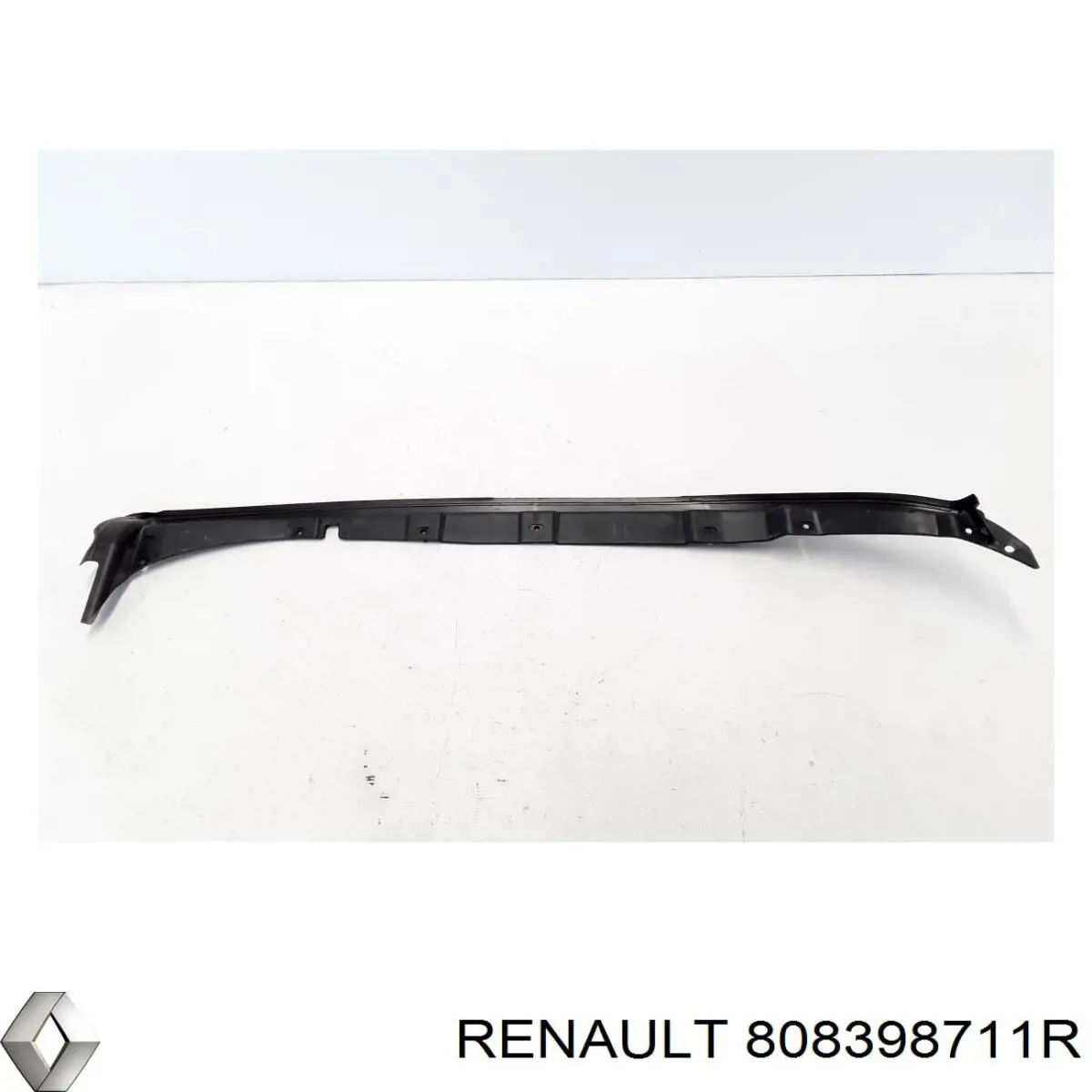  808398711R Renault (RVI)