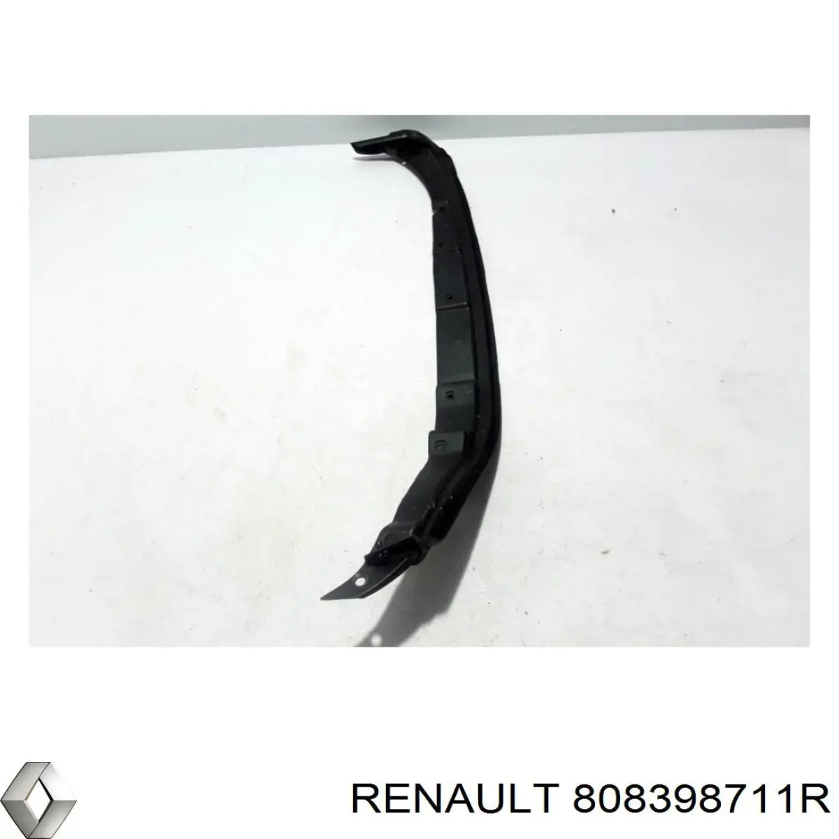 808398711R Renault (RVI) 