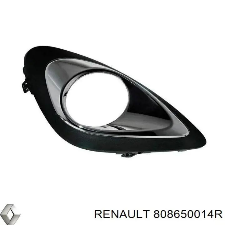 808650014R Renault (RVI) 