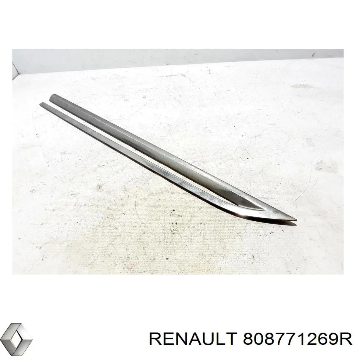 808771269R Renault (RVI) Молдинг двери передней левой нижний