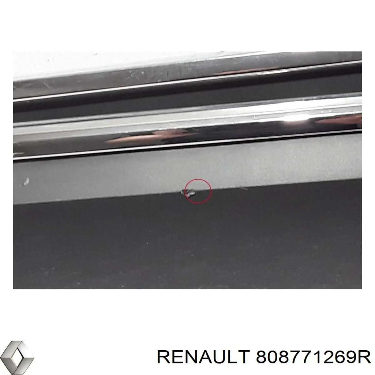 Молдинг двери передней левой нижний Renault (RVI) 808771269R цена, от 101.35 USD
