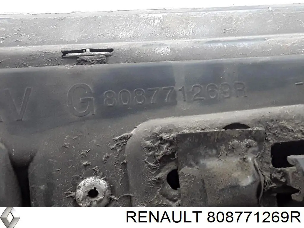 Купить 808771269R Renault (RVI) Молдинг двери передней левой нижний