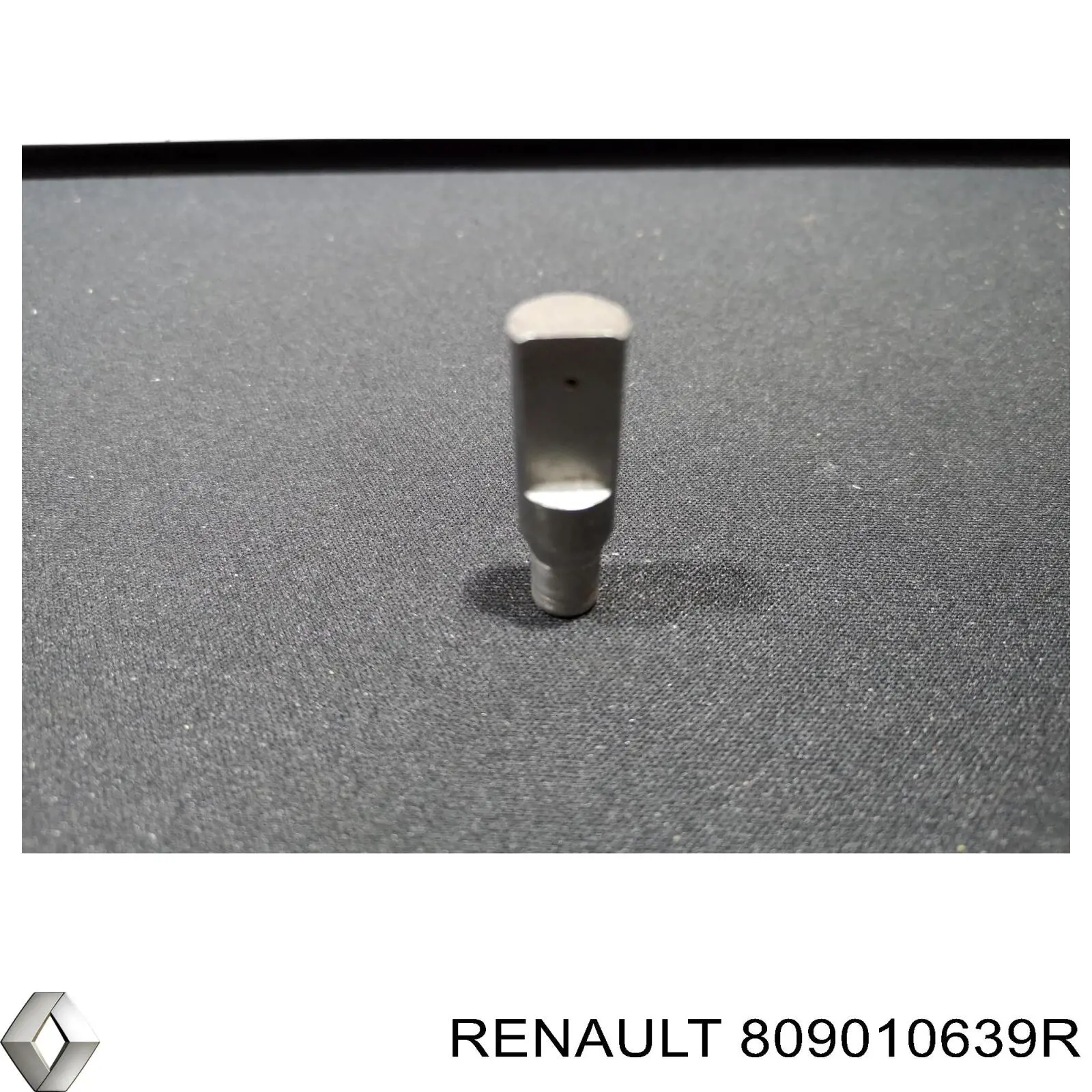 Купить 809010639R Renault (RVI) 