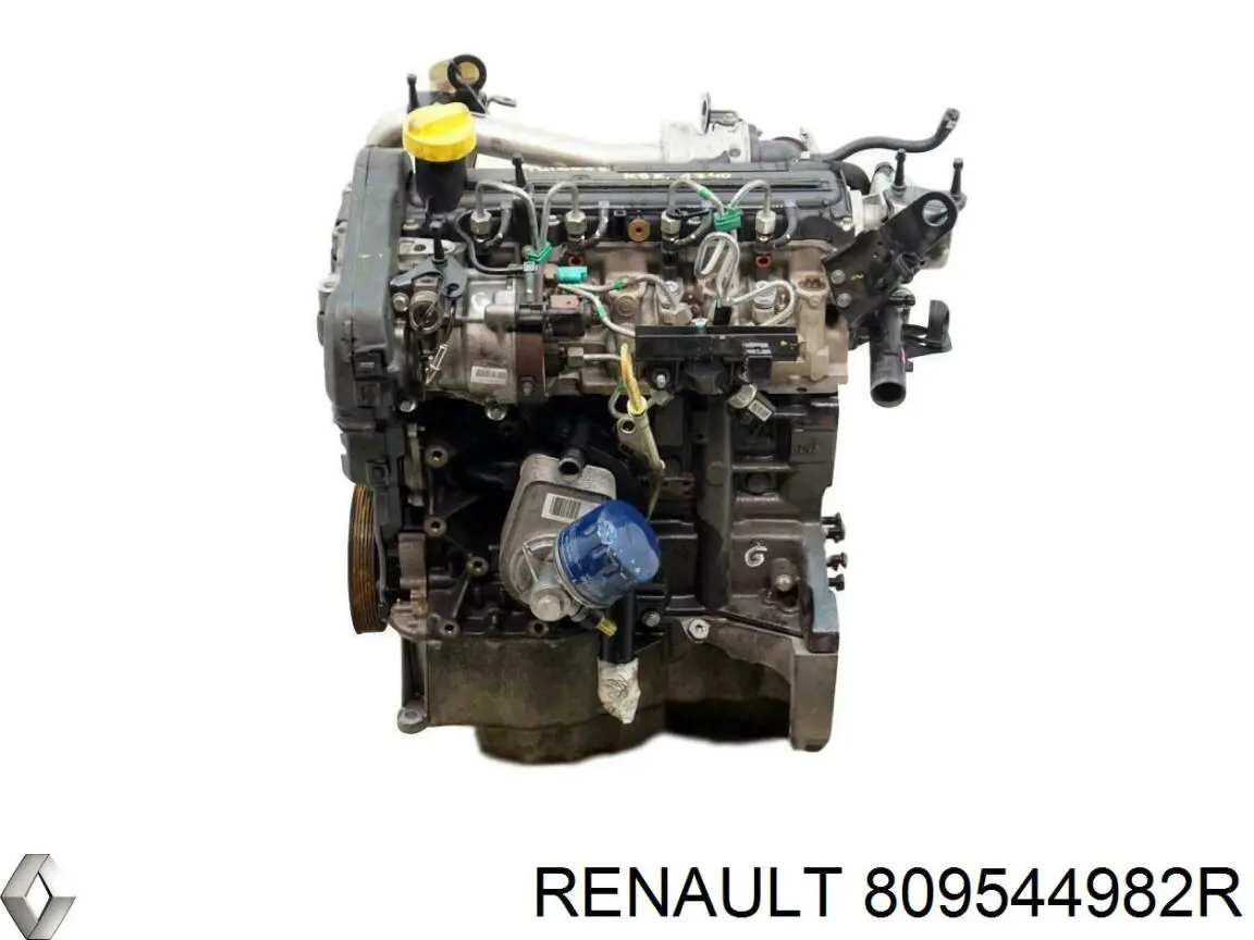 Ручка подлокотника двери передней внутренняя левая 809544982R Renault (RVI)