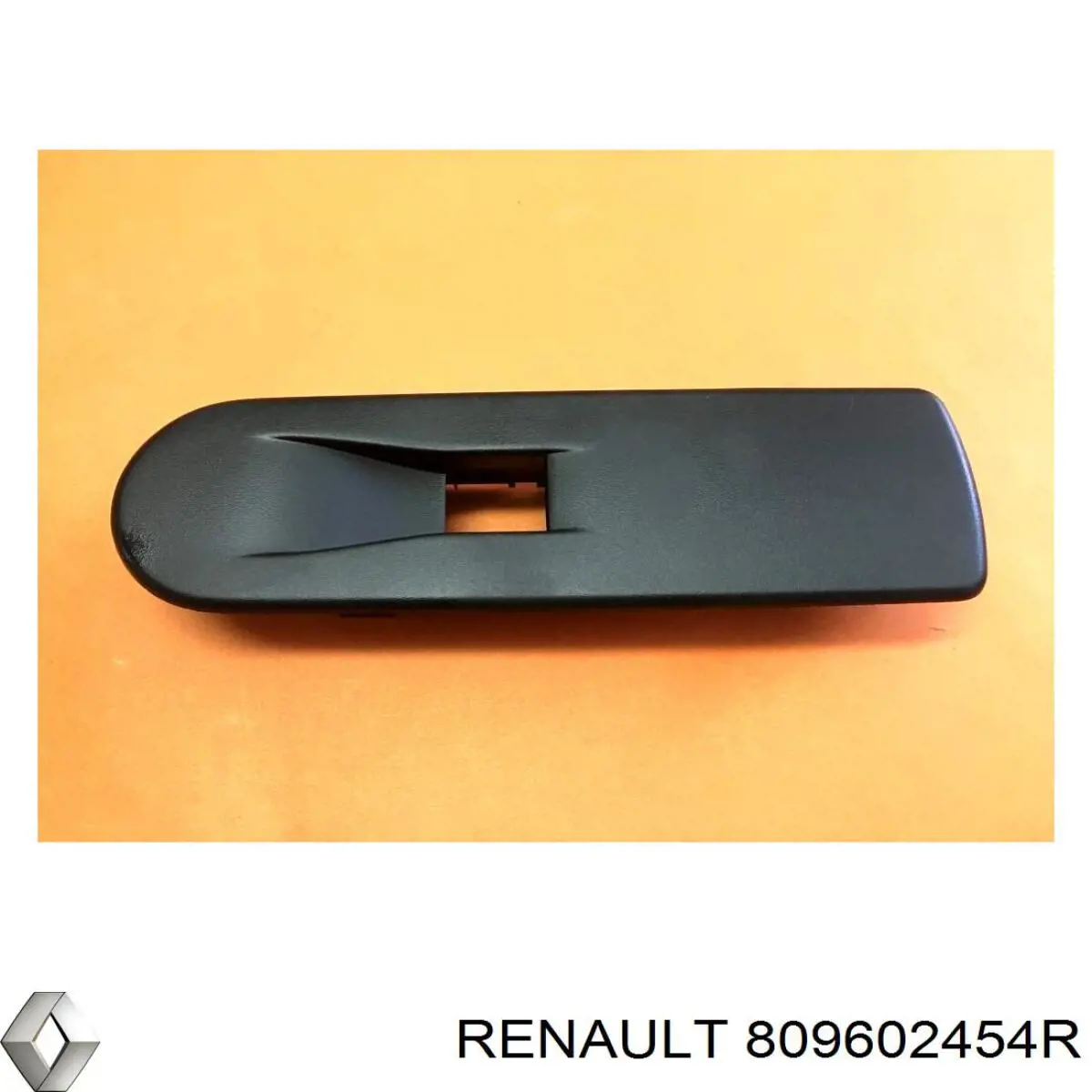  Renault (RVI) 809602454R цена, от 6.33 USD