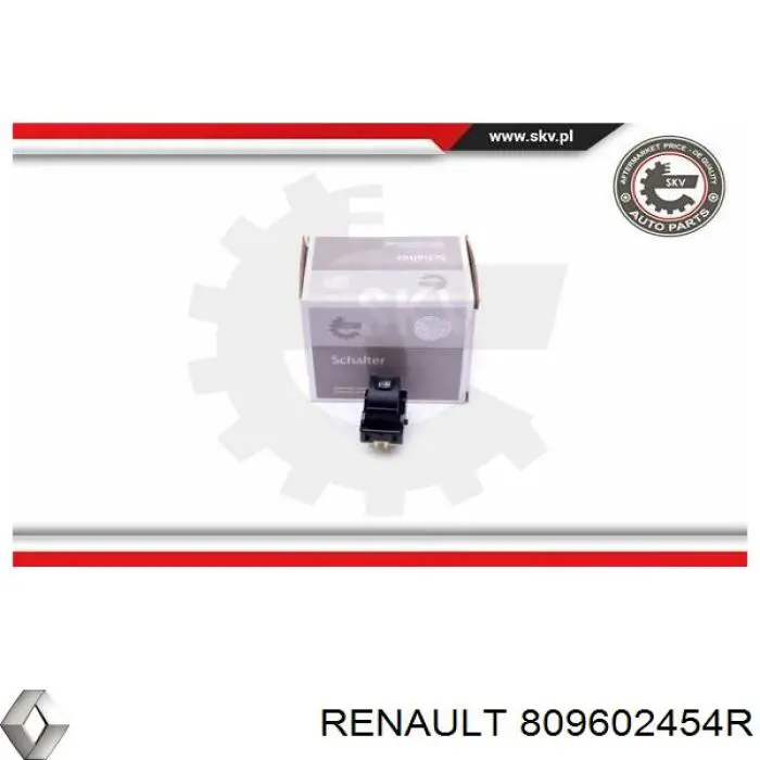  Renault (RVI) 809602454R