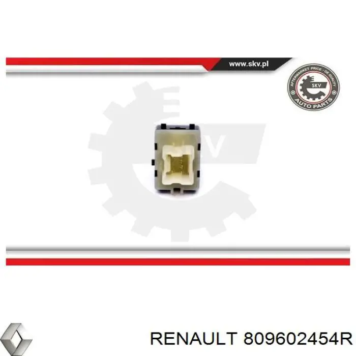 Купить 809602454R Renault (RVI) 