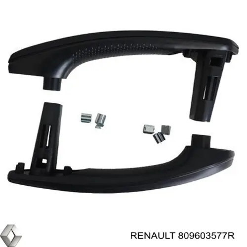 809603577R Renault (RVI) 