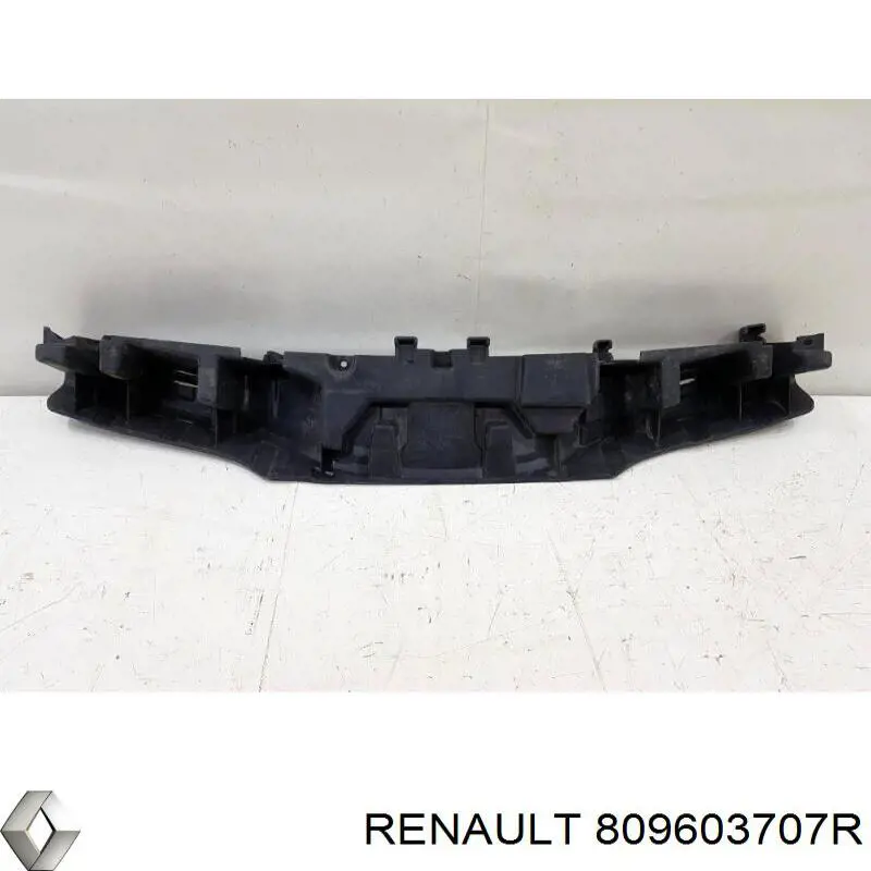 809603707R Renault (RVI)
