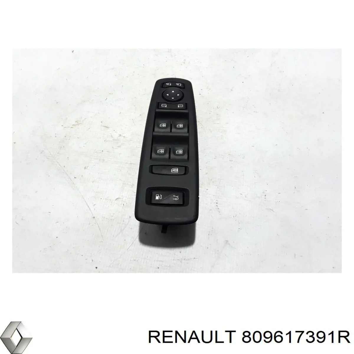  809617391R Renault (RVI)