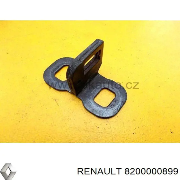 8200000899 Renault (RVI) 