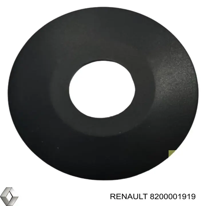 8200001919 Renault (RVI) 