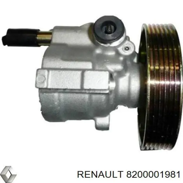 Насос ГУР 8200001981 Renault (RVI)