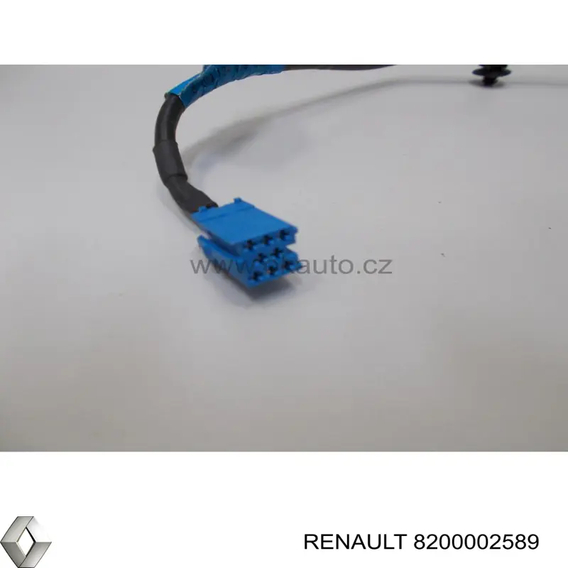 8200002589 Renault (RVI) 