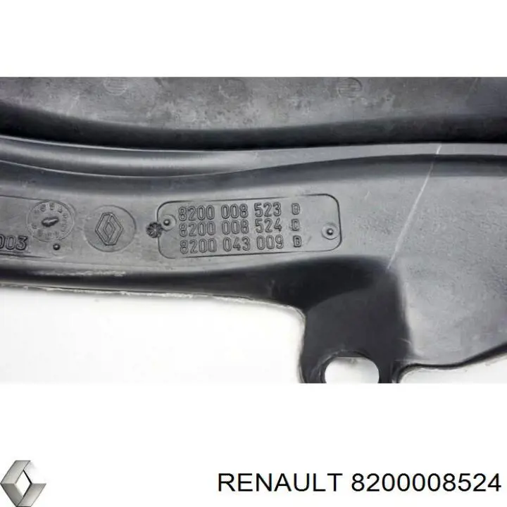 8200008524 Renault (RVI)