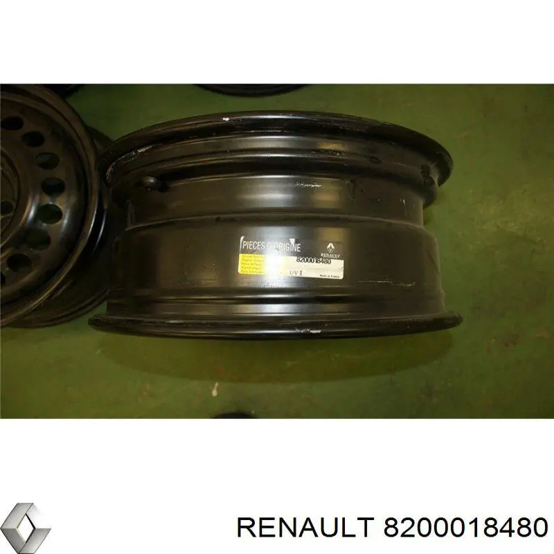  8200018480 Renault (RVI)