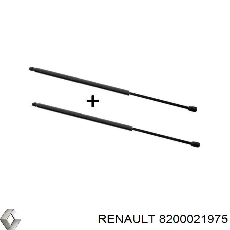 8200021975 Renault (RVI)