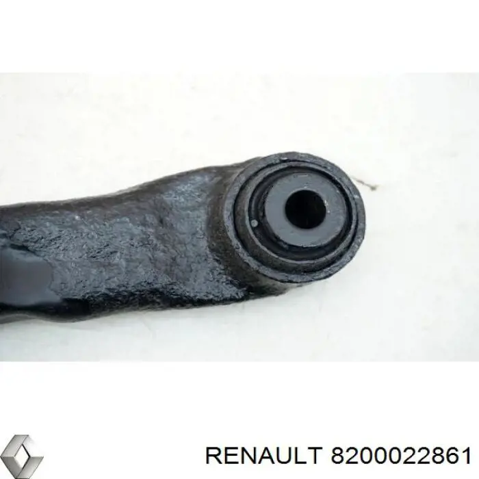 8200022861 Renault (RVI)