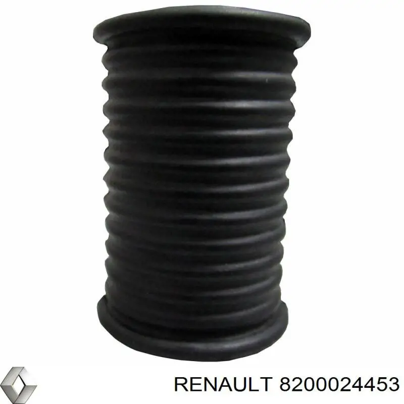 8200024453 Renault (RVI)