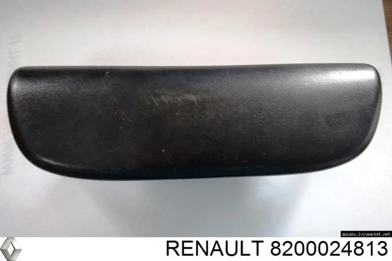 8200024813 Renault (RVI) lanterna da luz de fundo de matrícula traseira